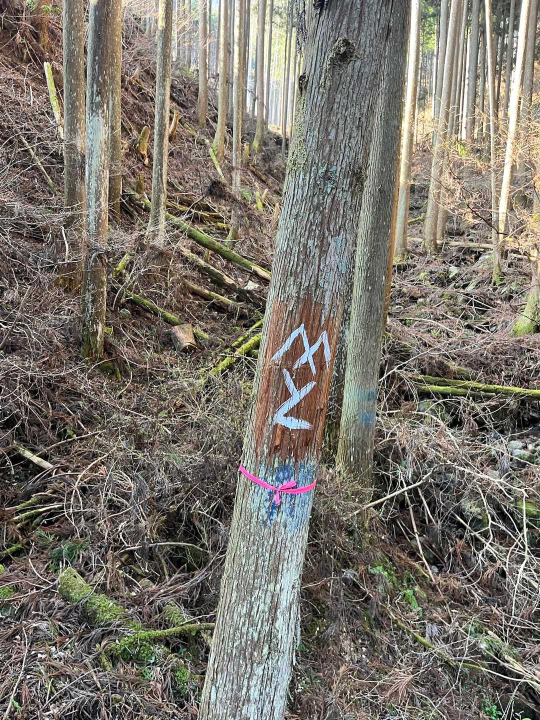 伊勢地出張所前バス停-石名原登山道入口-笹峠-学能堂山-杉 周回コースの写真