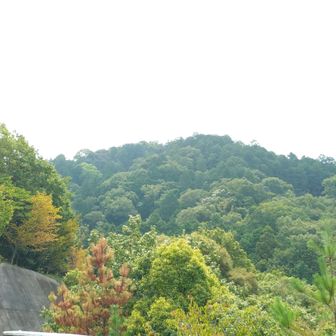 晴れたり曇ったり