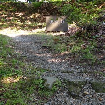 坂、キッツ💦さすがの本丸。さあ山頂ですよ😀