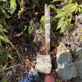 三角点が有りました