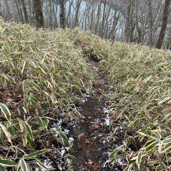 帰りは温泉♨️方面へ
こちらの方が、雪が、残っています❄️