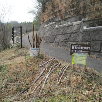 野々瀬登山口まで降りて