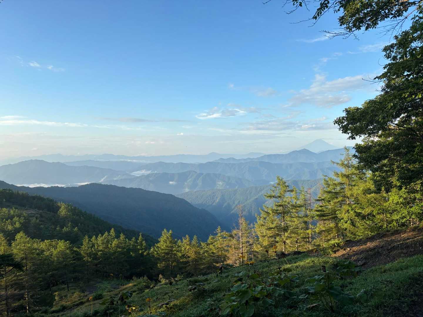 朝の山歩きは本当に気持ち良いですね～！