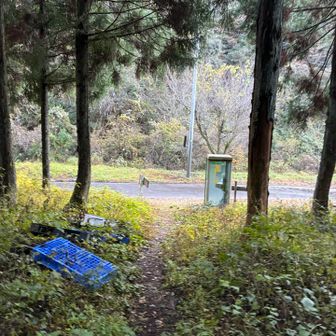 先週の、おくししっ、、、おくししくやま「奧獅子吼山」（笑）よりも急でした😅