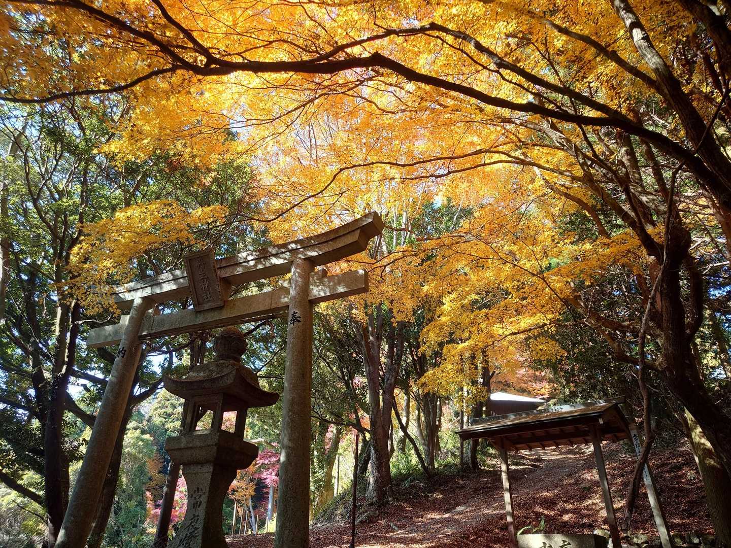 丹生神社-丹生山-帝釈山-朝日山-北山 周回コースの写真