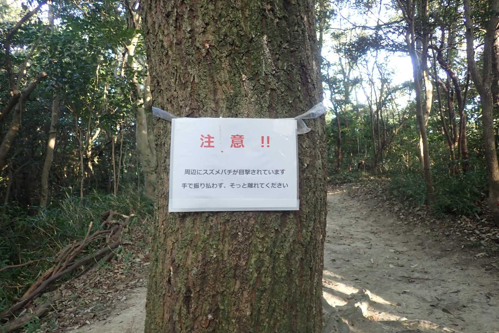 この辺もスズメバチですんですね