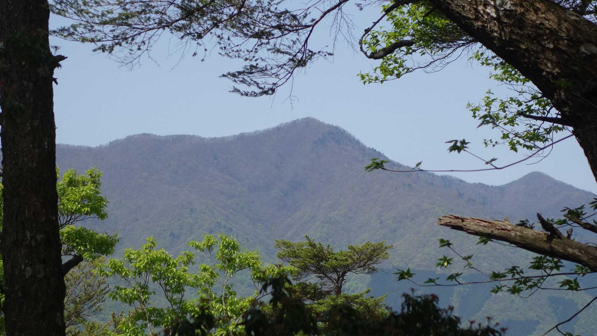 川乗橋バス停-笙ノ岩山-鳥屋戸八丁山-長尾山-蕎麦粒山-横 縦走コースの写真