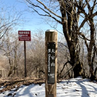 大室山登頂 🙌
これで丹沢ハイカーコンプリート！！
嬉しさというより安堵感が大きい😮‍💨

今日はレイヤリングを失敗して薄着になれずマジキツかった🥴 西丹沢でこれほど暑くなると思わず…
気温差がかなりある日はインナー、ベースレイヤーなどの着替えを持つか、やはり薄着になれるようにしよう😣