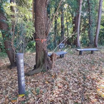 ベンチがあって、お昼頃なら日も当たるでしょうし、寒くなくのんびり休憩出来る場所ですね。