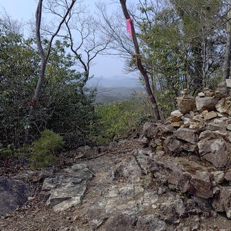 山頂プレートはこちら。