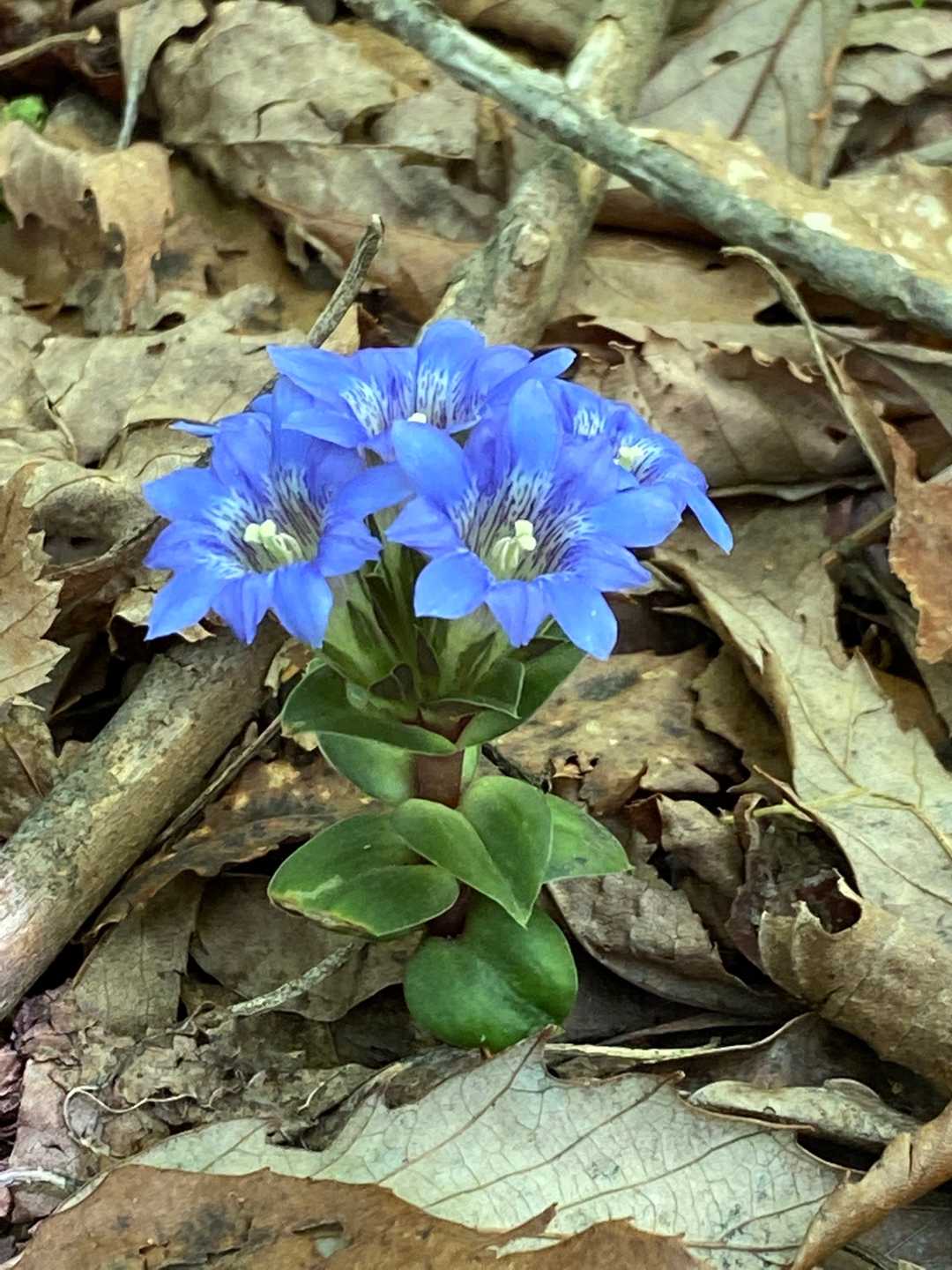 綺麗な花束💐😊