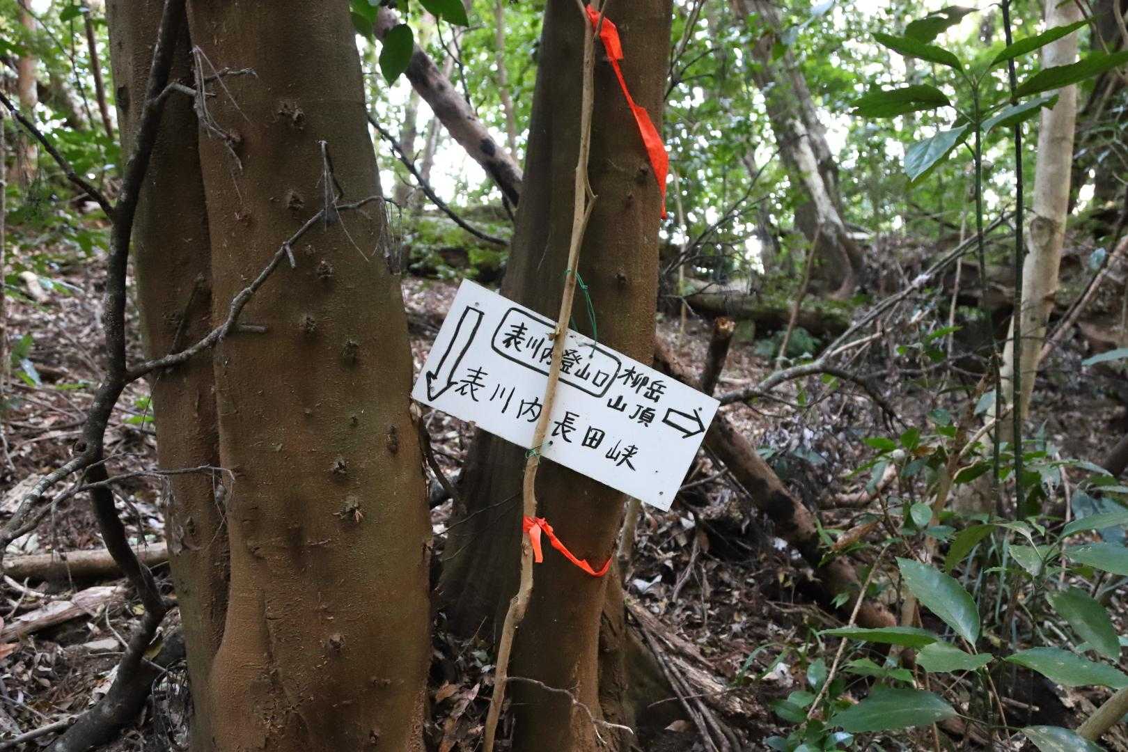 柳岳登山口-柳岳 往復コースの写真