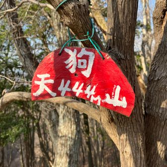 天狗山。
眺望は微妙かな。