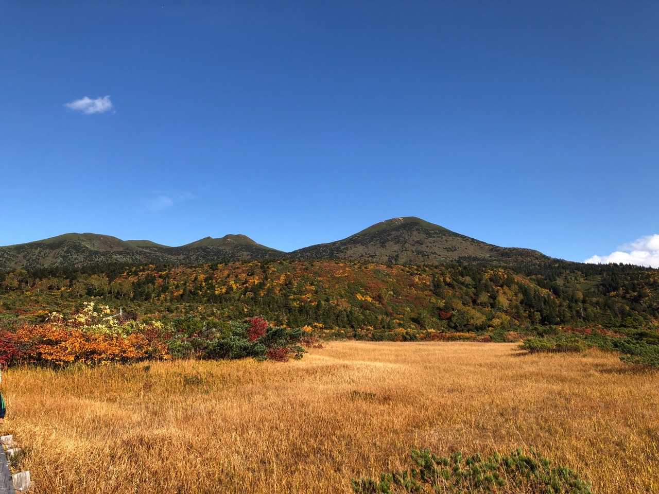 八甲田ロープウェイ山頂公園駅-田茂萢岳-井戸岳-毛無岱湿原 縦走コースの写真