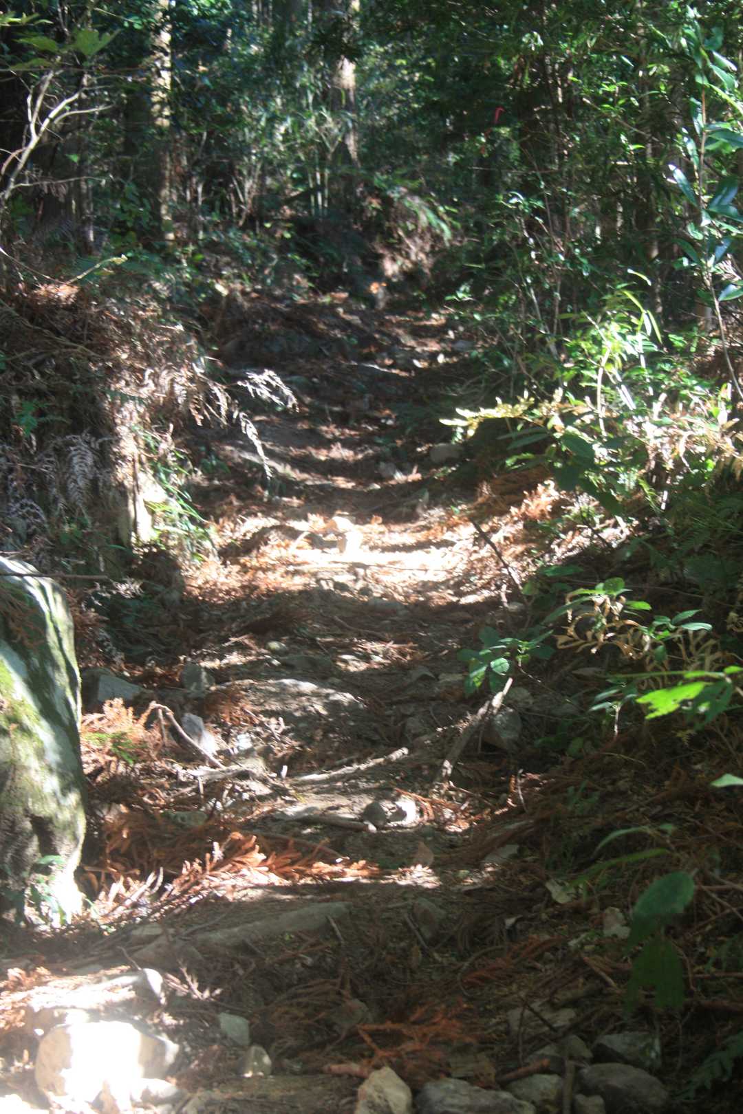 登ります