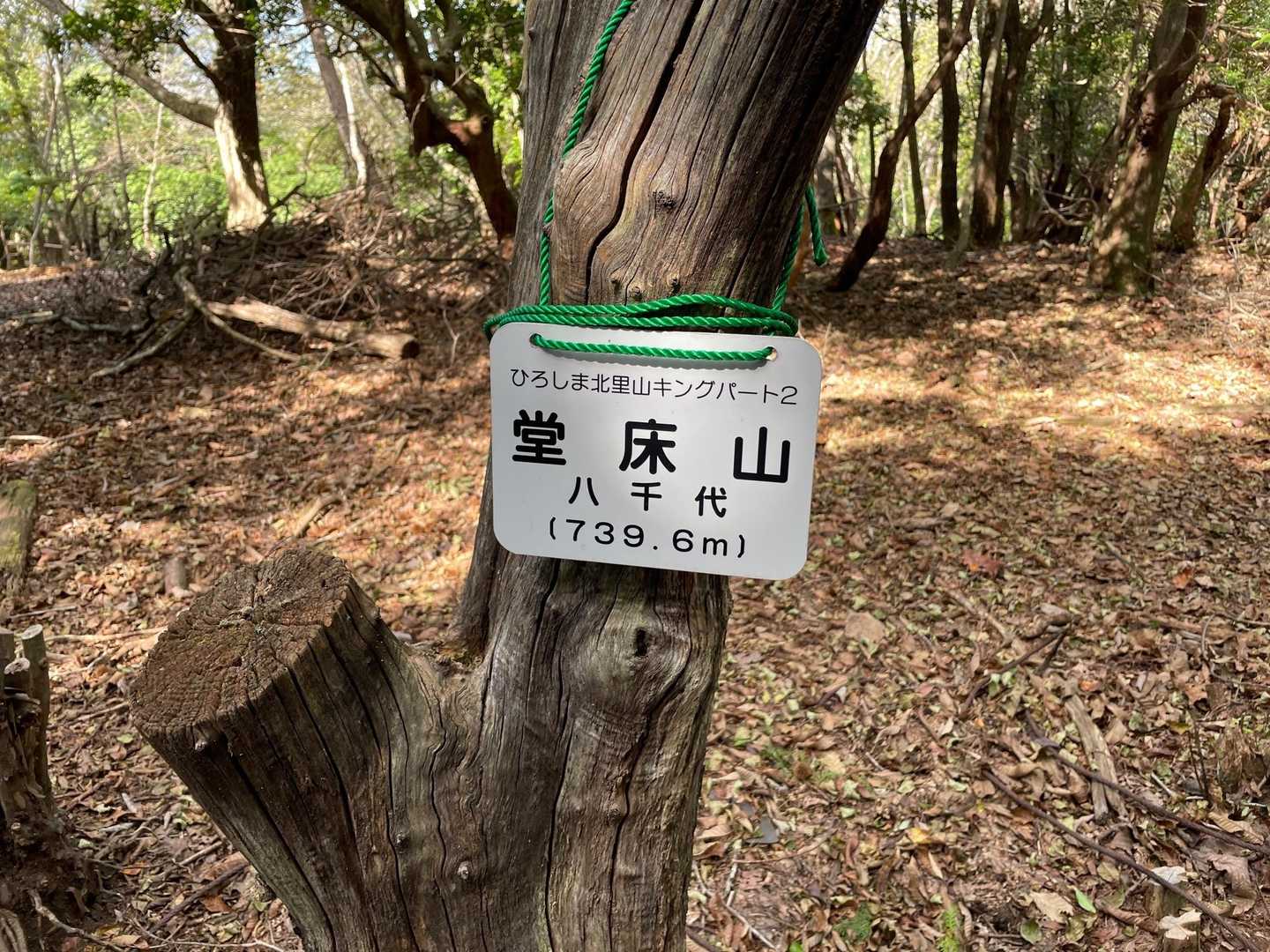 山頂表示を🤳。