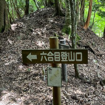 やっとここ迄戻ってきましたよ☺️
行きも帰りも誰にも会いませんでした😁が、涼しく快適な登山でした👍