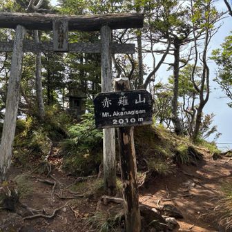 着いた