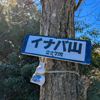 休憩していたら91歳のお元気さんに出会い､話が弾みました♪ 👴ｱﾘｶﾞﾄｰ