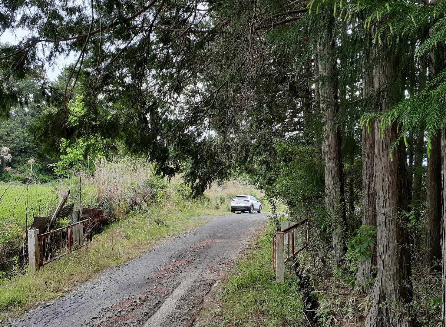 前山登山口-前山 往復コースの写真