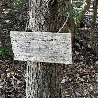 温坊山到着
もとは御坊だったのだろうか？