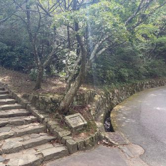どっち行このやつ