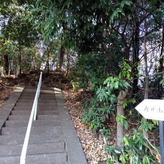 ここから神社へ⛩️
岩井山城（勧農城）があったのですね