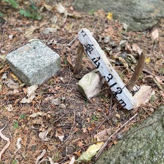 奥山もゲット
お正月食べ過ぎないように気をつけて過ごしま〜す