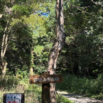 境内に登山口、ここから蚊との戦いが始まる（大袈裟）