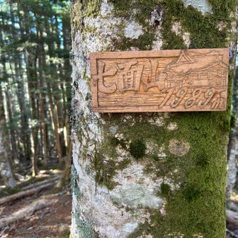 少し脚を伸ばして、七面山の最高点にきました。