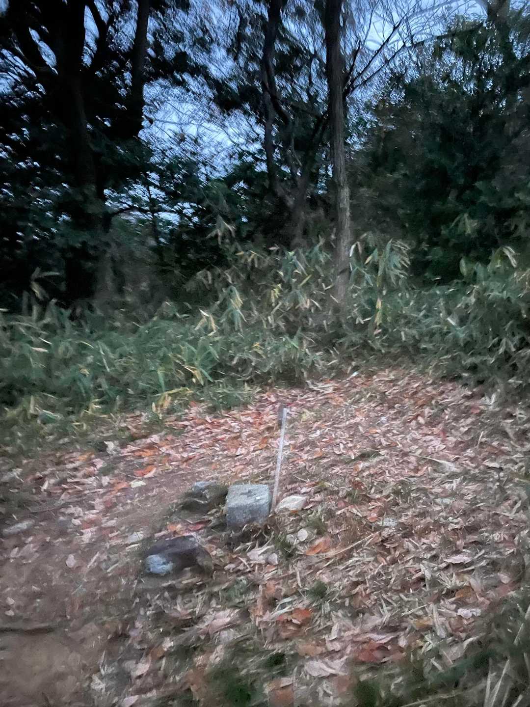 すぐに松尾山に到着⛰️