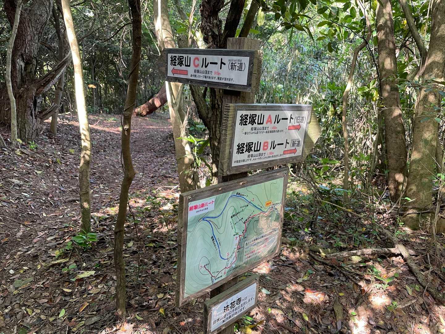 行きはCルートを選択！
急登をガシガシ登るのです🧗‍♀️