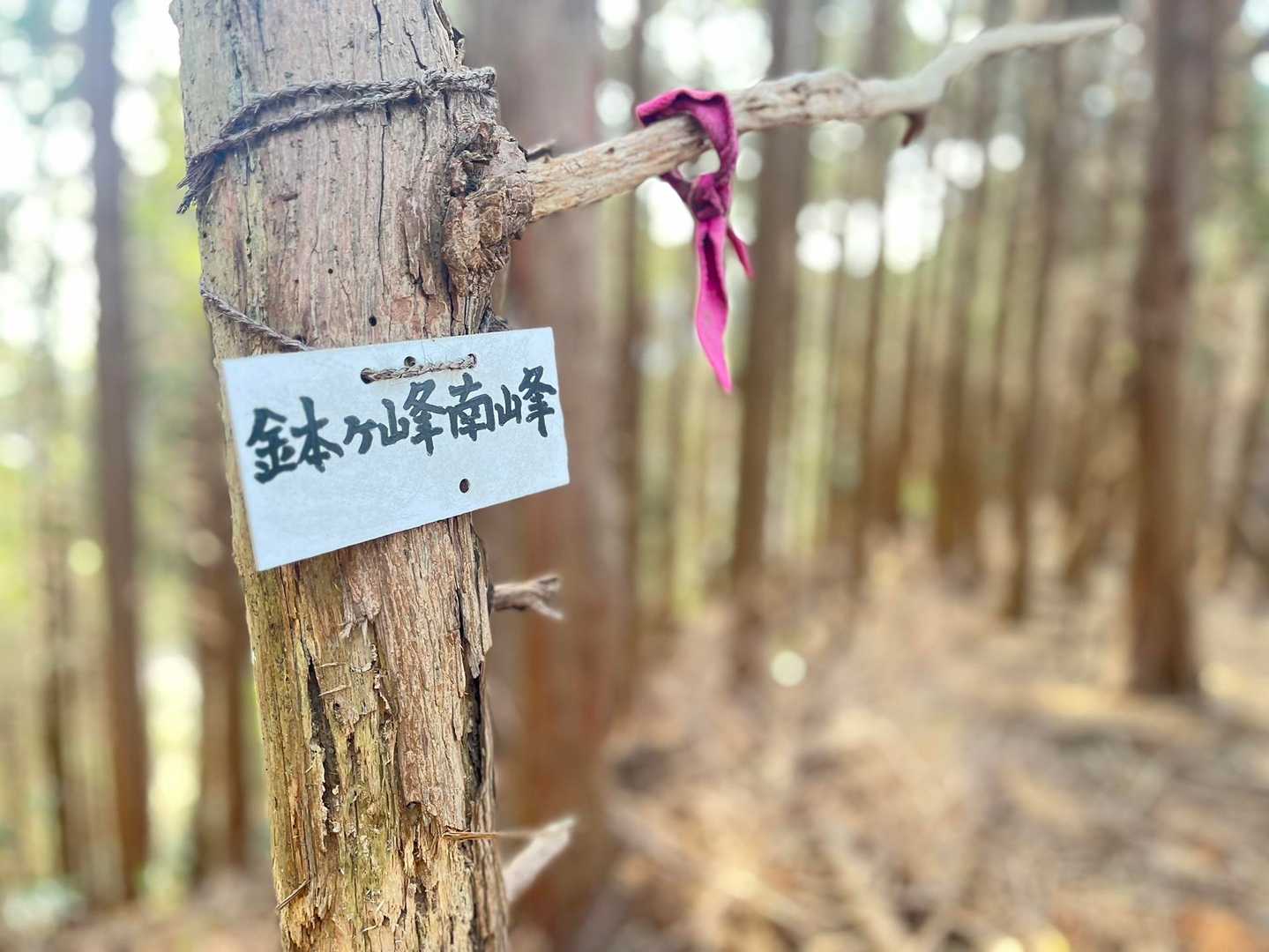 鉢ヶ峰南峰
