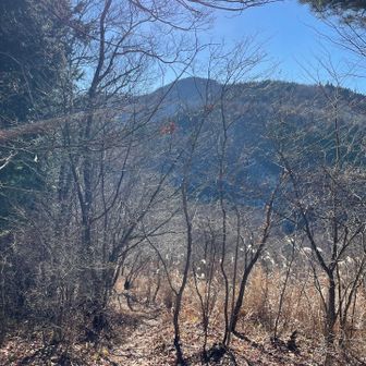 これから登る堂平山が見えます。