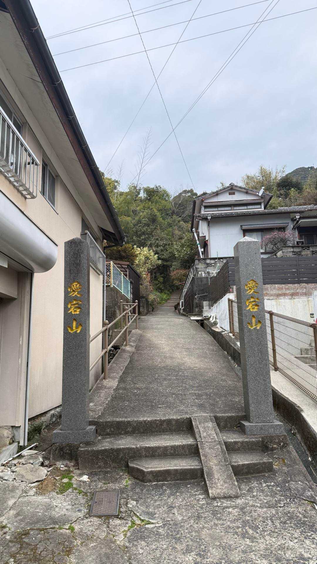 愛宕山 往復コースの写真