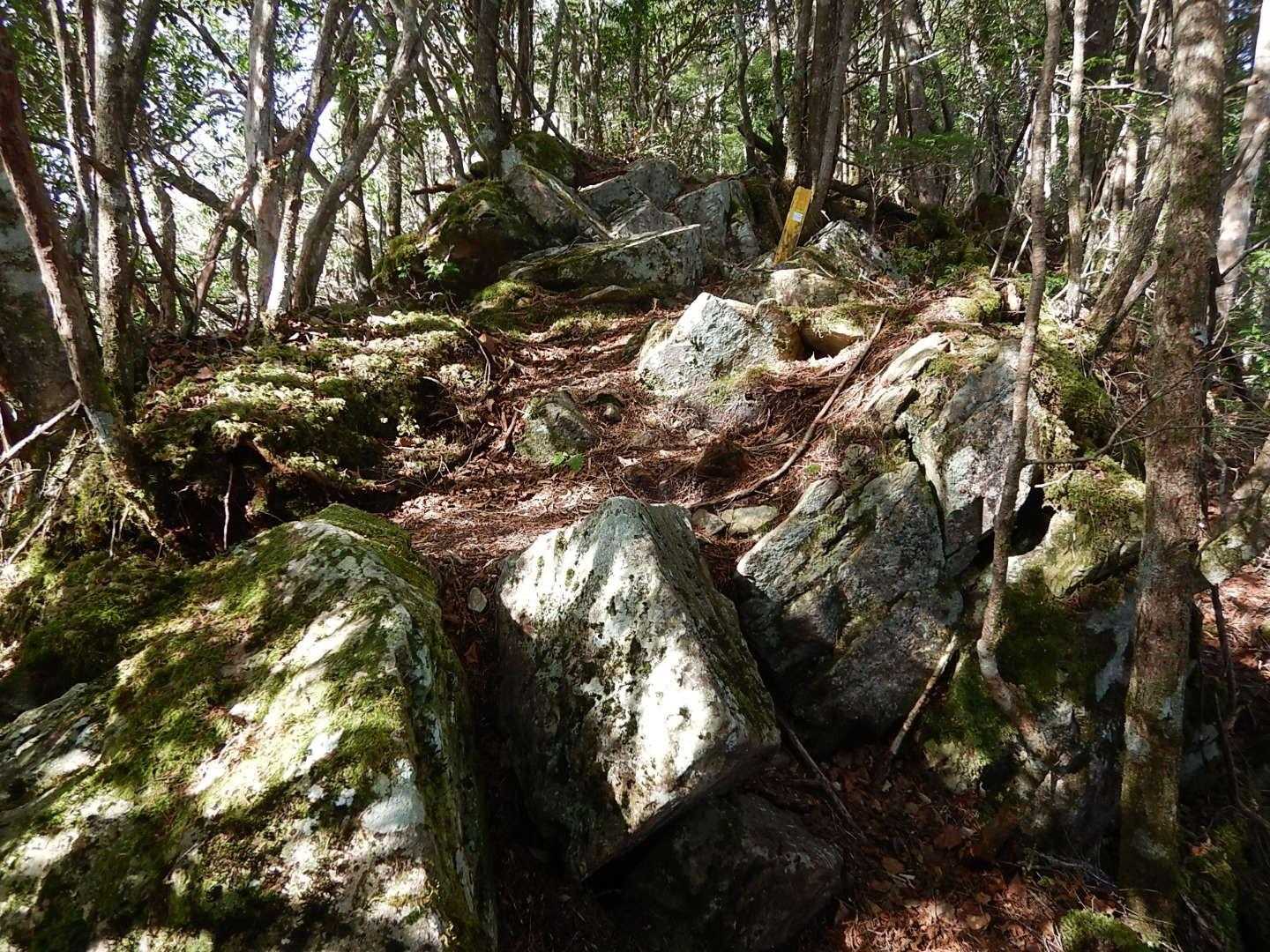 こんな岩場もあったり