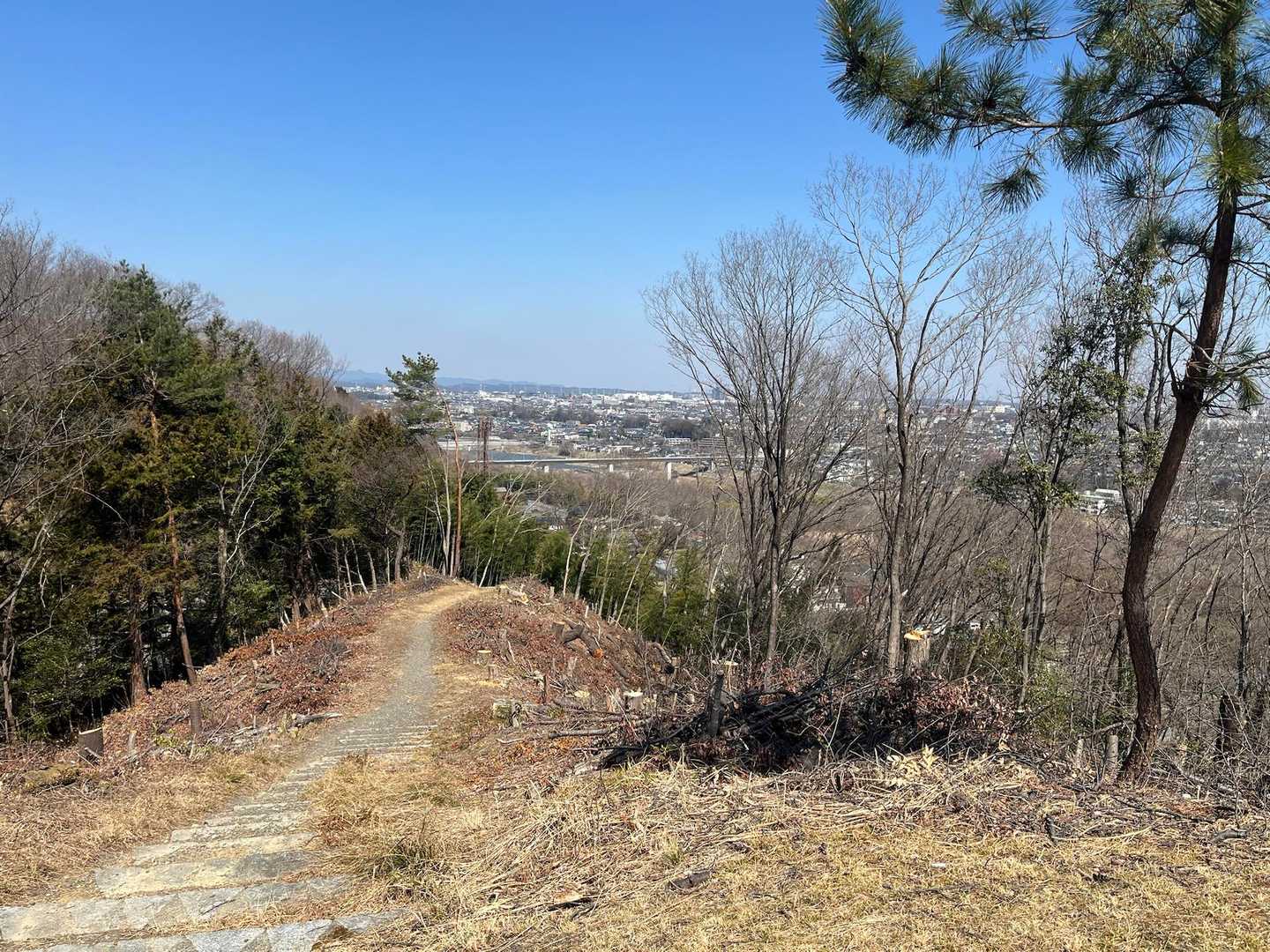 羽村駅-羽村神社-浅間岳-朝日山-大澄山の登り口-大澄山 縦走コースの写真