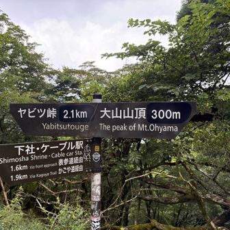分岐の道標が新しく？なっているような