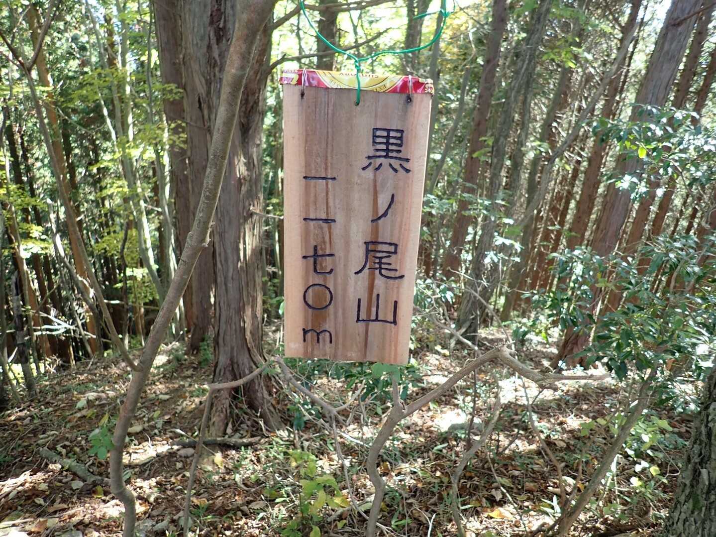 クロノ尾山の写真