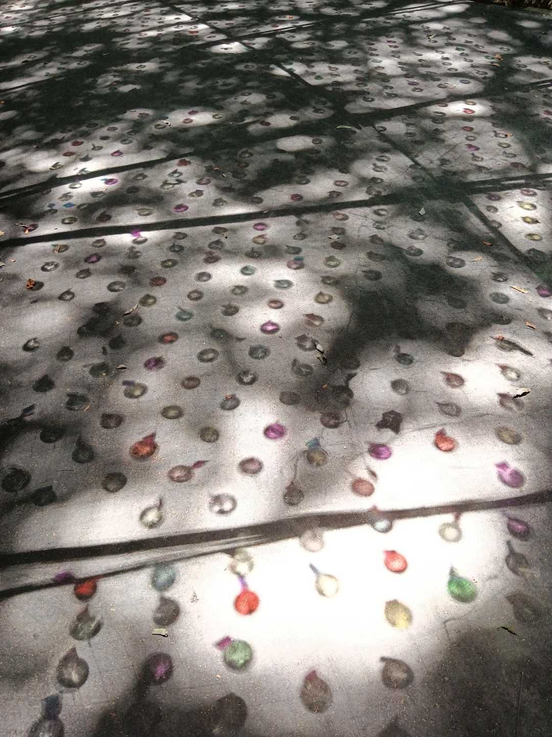 宮地嶽神社 往復コースの写真