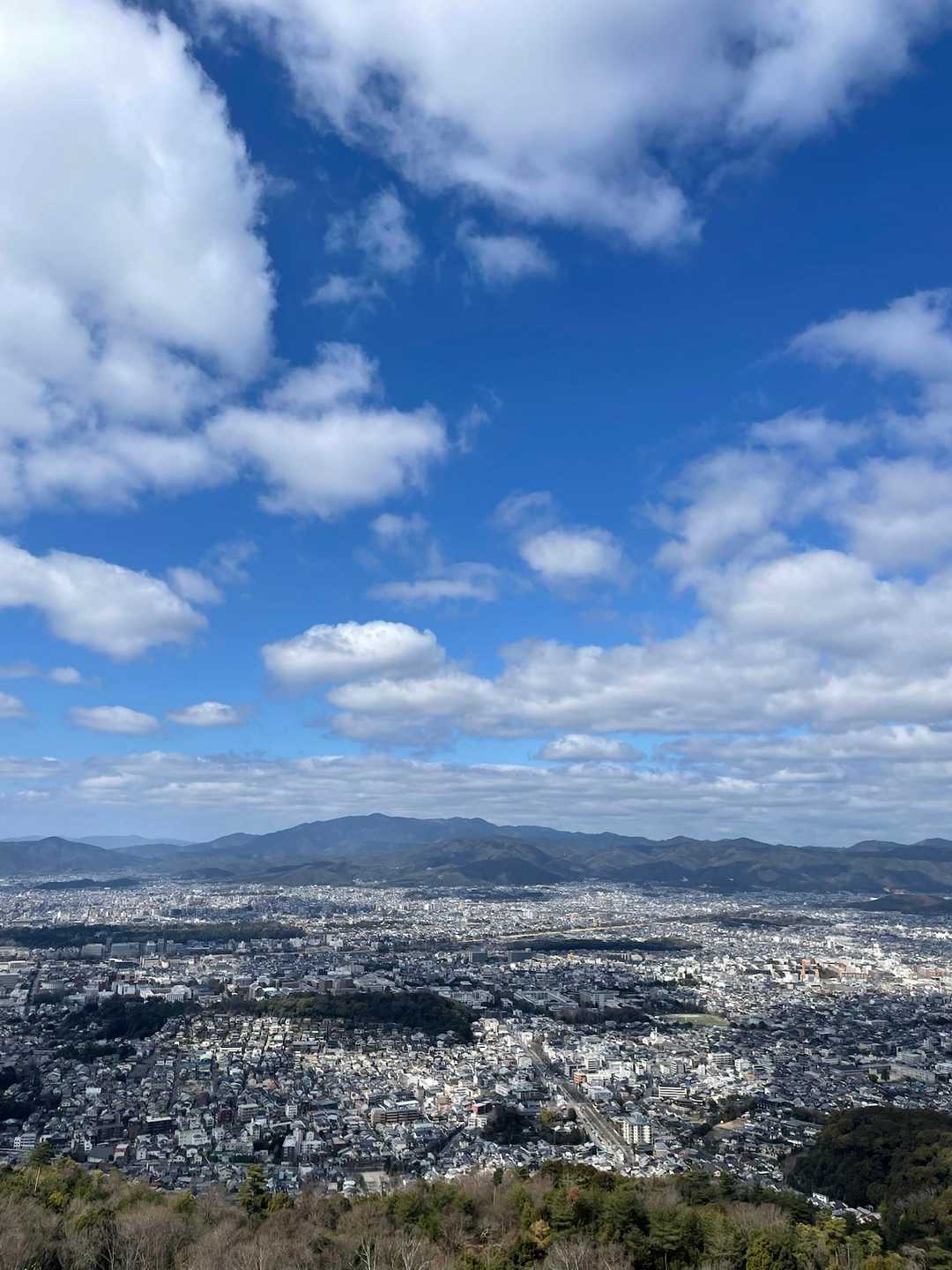 いいお天気💗