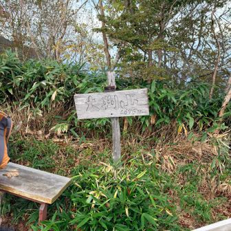 やっと行程ほ真ん中辺りの「大判山」到着