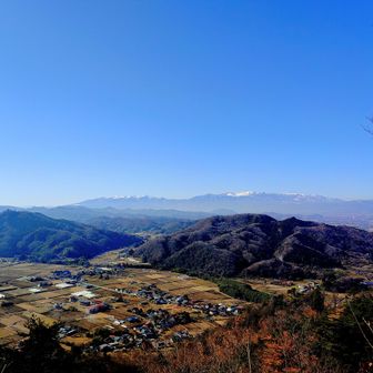 青空のもと、大汗チクチクの山登り。

素材の違いでズボンと手袋は、ひっつき虫だらけ。

地域ではバカ、訛ってバガなどと発する。

切り株に座り、無心で取る、結構好きな作業。


