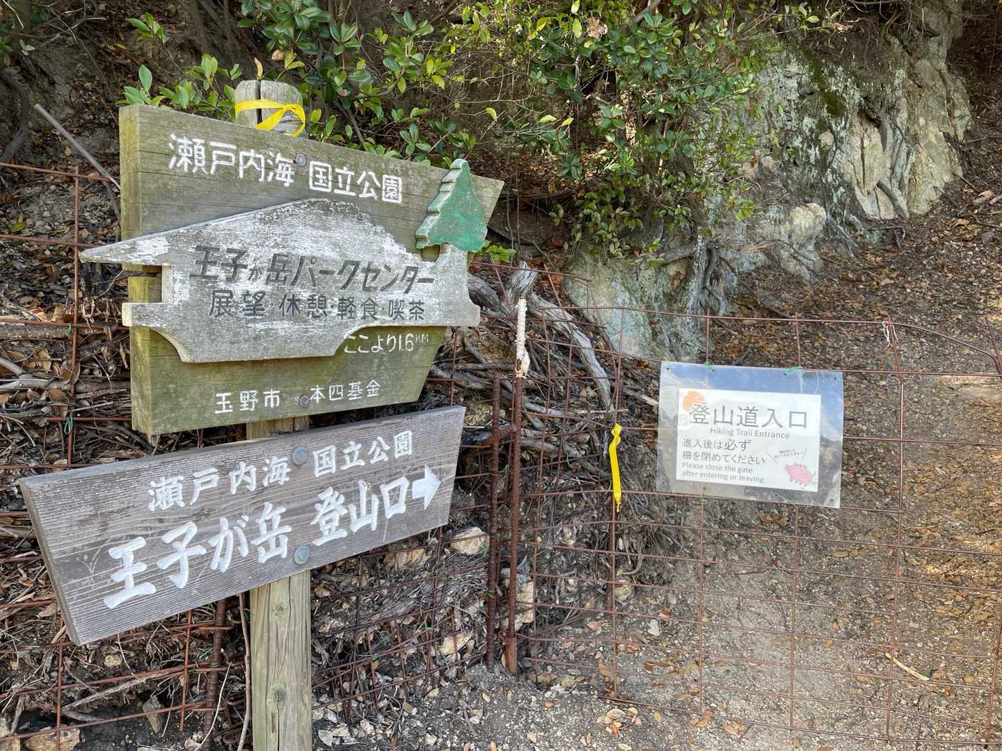 やはりココでも🐗出るんですね