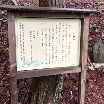 一杯水と呼ばれる湧き水スポットに