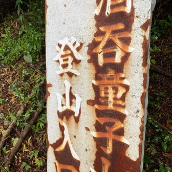 スーパー林道から下山したら　この看板の所に出ました😌　看板がレトロな感じ🤭笑