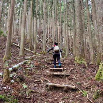 階段が続きます
