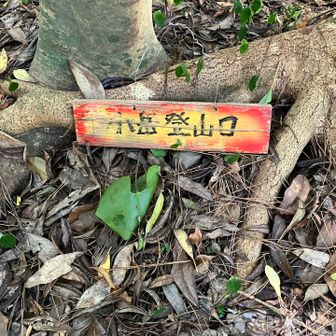 祠の裏に登山口