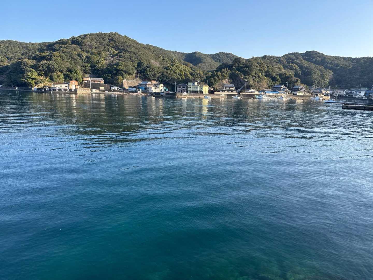 お疲れ様、この後、干物と、佃煮とイカのワサビ漬け🦑買う。今夜の🍺のつまみ