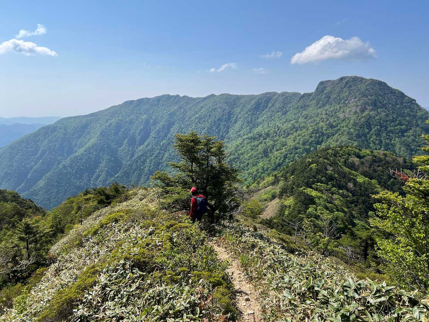 奥の左側にある 手箱山 に向かいます。
たぶん、1ヶ月ぶりの快晴山歩⤴